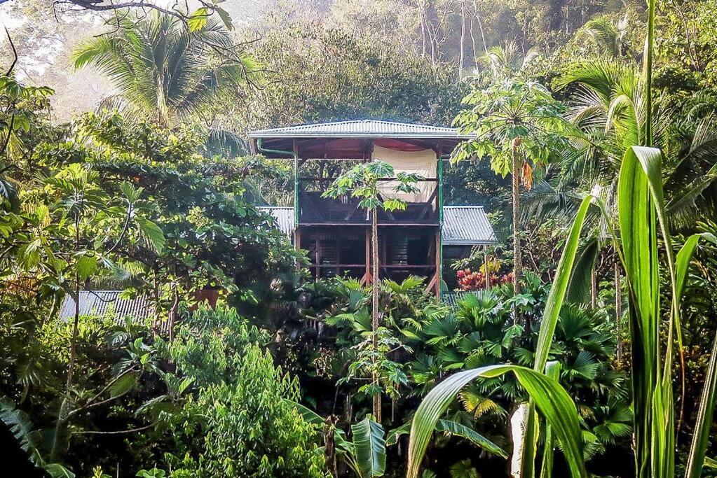 Casa Aire Libre Villa Puerto Jimenez Luaran gambar